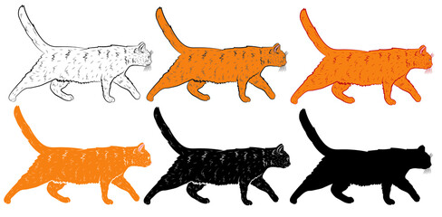 Set of Realistic  ginger cat in profile. Vector illustration.