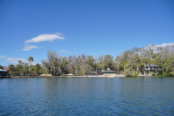 beautiful tree, clear water, house along homossasa river in winter.	