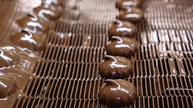 Tasty chocolate candies conveyor. Sweet factory proccess automatic line.