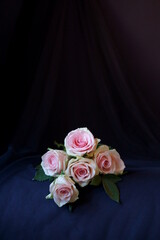 Beautiful background with pink rose	