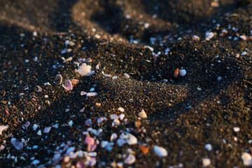 Fragmentos de conchas en arena color negra