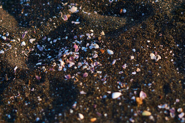 Fragmentos de conchas en arena color negra