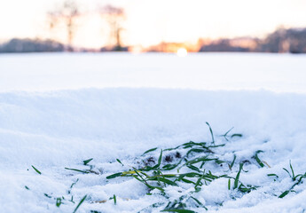 Greeningflächen unter einer Schneedecke.