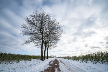 Verschneite Winterlandschaft - neue Eindrücke - anderes Aussehen.