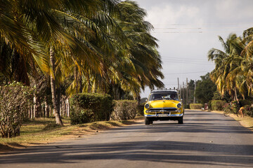 Old american car on street with full of palm trees around. Beatiful road of Bay of Pigs, Cuba