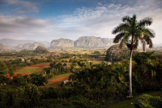Beautiful Vinales Valley with palm trees and fog. Amazing green landscape of Cuba