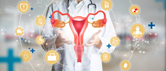 Gynecologist supporting the female reproductive system in terms of health. Medical future technology and innovative concept.