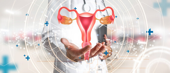 Gynecologist supporting the female reproductive system in terms of health. Medical future technology and innovative concept.
