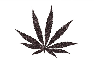 Cannabis leaf emblem isolated on white background