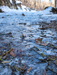 Frozen vegetation on a cold winter morning.