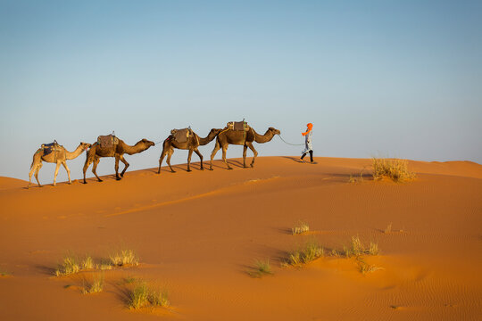 Erg Bilder Durchsuchen 21,577 Archivfotos, und Videos