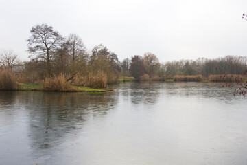 See, Winter, feine Eisschicht, Idylle