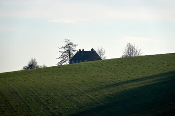 Green fields in a sunny day (England, Berkshire)