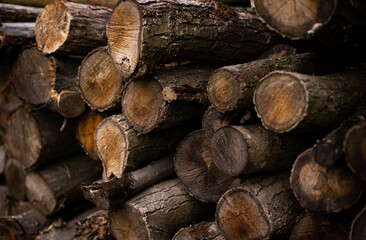 stack of wood