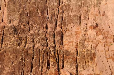 Alter do Chão,Pará,Brasil.Detail of the cliff wall on the banks of the Tapajós River, in the northern region of Brazil.