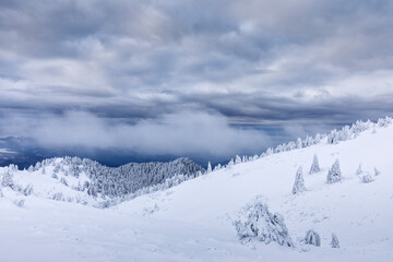 Fototapeta na wymiar Beautiful landscape of winter seasons with firs full of snow. Mount Ciucas in Romania.