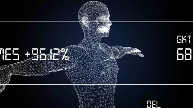 Data and report statistics, animation with graph diagrams.