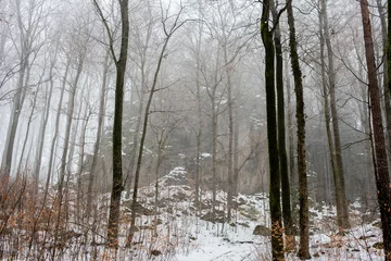 Foto auf Leinwand A large rock massif with trees, snow and fog near Stierberg, Betzenstein, Franconian Switzerland, Bavaria, Germany © Christoph