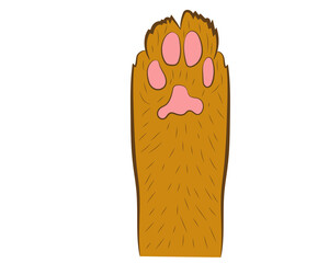 Realistic red cat paw pet cute. Hand drawing. Vector illustration .