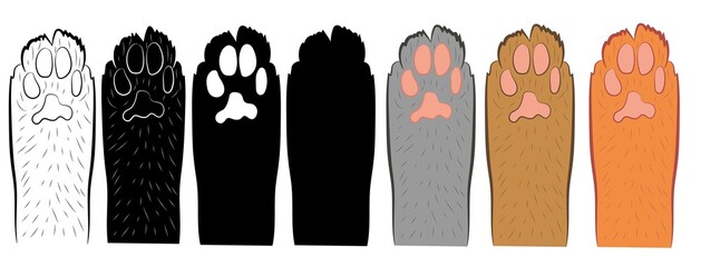 Set of Realistic cat paw pet cute. Hand drawing. Vector illustration . © Inna