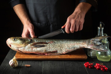 The chef prepares silver carp herring in the restaurant kitchen. Preparation for cutting fish with a knife. Work environment on the kitchen table.