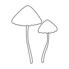 Amanita vector icon.Outline vector icon isolated on white background amanita.