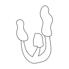 Amanita vector icon.Outline vector icon isolated on white background amanita.