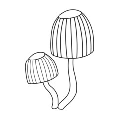 Amanita vector icon.Outline vector icon isolated on white background amanita.