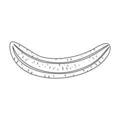 Banana vector icon.Outline vector icon isolated on white background banana.