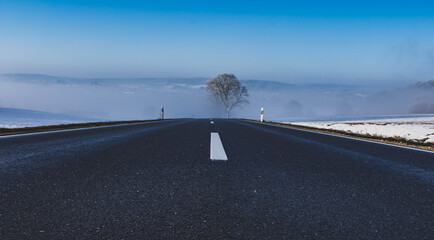Road with tree in fog at winter near Steinheim