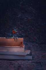 Obraz premium I read you a book