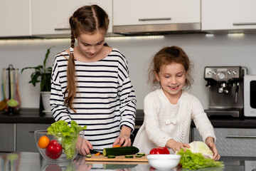 Two cute sisters' girls cut a salad from fresh vegetables. The girls are in the kitchen at home. They socialize and have fun while cooking. The concept of healthy eating. Healthy food. Childhood.