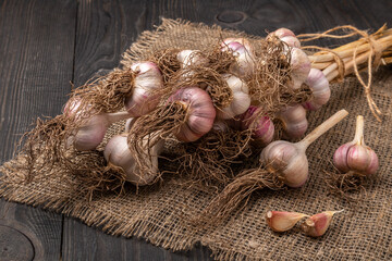 bunch of garlic on dark wooden background