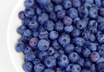 お皿の上のブルーベリー