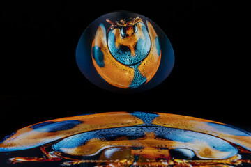 A Lady Beetle Reflected In A Spoon From A Tablet