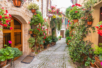 Flowers in ancient street located in Spello village. Umbria Region, Italy. - obrazy, fototapety, plakaty