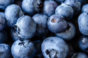 close-up on the blueberry fruit