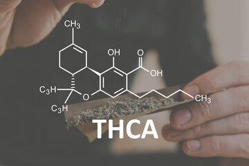 Cannabis plants chemical formula. THCA with Cannabidiol molecule. Tetrahydrocannabinolic acid