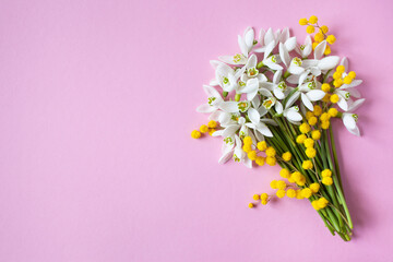 Bouquet of spring flowers snowdrops and mimosa on a pink background, space for text. Postcard for congratulations on Women's Day March 8, birthday.