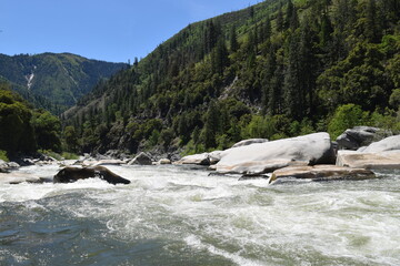 Plumas National Forest
