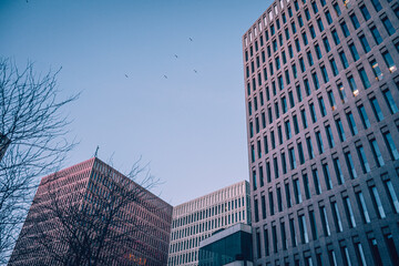 Arquitectura urbana