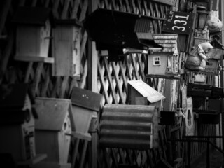 Birdhouse Birdhouses Collection