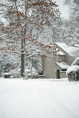 Winter day during the snow storm
