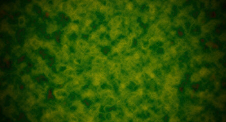 colors: blond   and forest green.  stripes,  gem,  artistic,  black,  soft,  digital. 