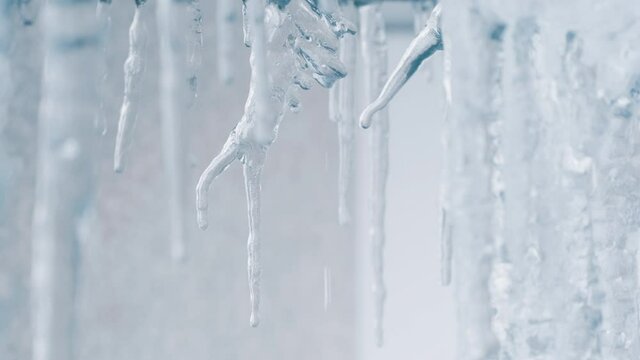 Beautiful dripping icicles in winter, Aomori Prefecture in Japan, Nature or weather background	
