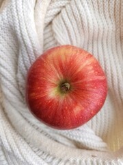red apple on a white knitted background