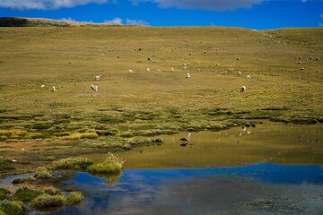 Laguna espejo natural