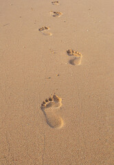 Footprints of one human on sand beach, vertical image