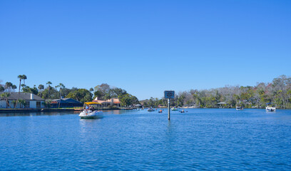 Obraz premium beautiful tree, clear water, and house along homossasa river in winter. 