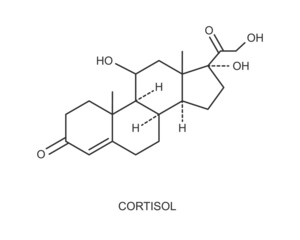 Cortisol hormone icon. Hydrocortisone chemical molecular structure isolated on white background. Vector outline illustration.